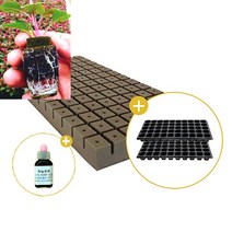 삽목용 오아시스104구+50구트레이 2장+발근력20ml+이름표사은품, 5셋트