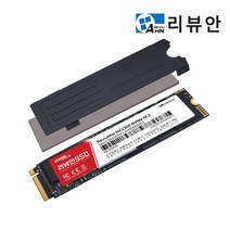 리뷰안 NX2300 DRAM NVMe M.2 SSD 2280, 1TB