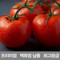 영화청과 국내산 토마토 5kg 프리미엄 백화점 남품 요리 즙 키우기 재배