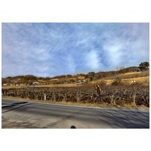 T708-0/노화리사진 대형사진 A1 농촌사진 시골사진 벽장식 인테리어사진 풍경화 풍경사진 풍경화그림, 유포지(코팅)