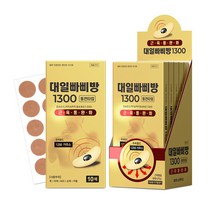 대일밴드 대일 빠삐방 1300(10T) x 5개 붙이는 파스 동전패치