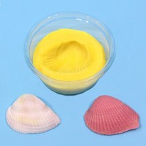 상아사이언스 SA 실물조개 화석모형 만들기(1인) (ICE), 상세페이지 참조