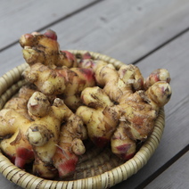 봉동생강 흙 세척 1kg, 봉동 흙생강1kg