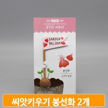 씨앗 재배 체험하기 2개 깃발 봉선화 씨드볼 학습용 교구 식물 초등 준비물