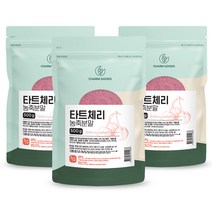 타트체리 농축 분말 체리원액 파우더 가루 3팩