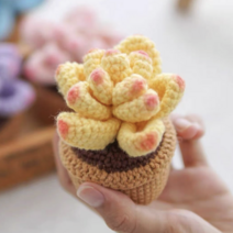 미니 다육이 화분 식물 코바늘 꽃 뜨기 DIY 재료 세트, 노란색 다육이 재료 세트