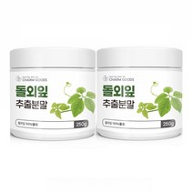 참굿즈 돌외잎 분말 가루 추출분말 돌외잎 추출물 사포닌 돌외 250g 2통