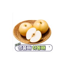 목에 좋은차180포 목감기 기침감기 목소리잠김 면역력강화 면력력증진, 목에좋은차, 100포, 110ml