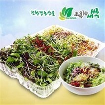 기타 초록이슬새싹/새싹채소+어린잎채소(총300g)/브로콜리/유채/콜라비/적무/배추/무공해식품/무농약, 3세트