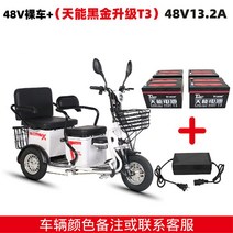 삼륜전기스쿠터 배달 전기 바이크 용 반려견 오토바이, 블랙골드 48V13A 배터리 (50리 내외 항속 가능), 48V