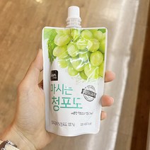 마시는 청포도 100ml x 5개 보냉백포장, 아이스보냉백포장
