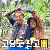 고당도 울산 서생배 신고배 햇배 5kg 7.5kg 10kg 15kg, 5kg 대과(8-9과)