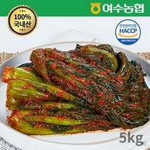 여수농협 여수돌산 갓김치 (국내산), 5kg, 1개