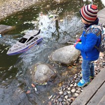 키즈 원격 제어 RC 슈퍼 미니 스피드 보트 고성능 보트 장난감, 단일옵션