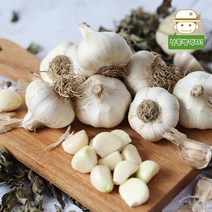 GAP인증 받은 황토밭 홍산 마늘 1kg, 단품
