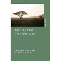 후회 없이 사랑했던 카렌 블릭센을 만나다 (큰글자도서), 김해선 저, 이담북스(이담Books)