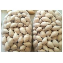 피은행 알 3kg 껍질 생 수입 은행 열매 일키로