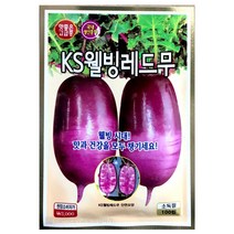 KS웰빙레드무씨앗 100알 무씨앗 적무 과일무 레드무