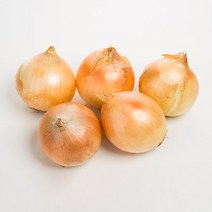 아삭아삭 국내산 햇양파, 1개, 양파 10kg 대