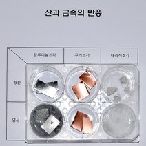 21세기과학상사 [21세기] 산과 금속의 반응(2인용)