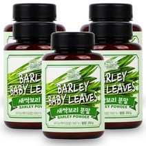 제주 새싹보리 분말 국산 수경재배 어린잎과 뿌리, 250g x 5개