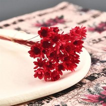 30Pcs 말린 꽃 U 필러 미니 질 스타 국화 꽃 DIY 에폭시 금형 예술 공예 보석 만들기, 09 Red-30Pcs