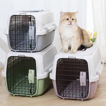 강아지 고양이 켄넬 케이지 이동가방 애견 이동장 더블도어 캐리어 기내용 항공, 그레이(L)