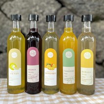 유진팡 제주산 발효 과일청 300ml, 제주산 파인애플청