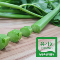 강원도 원주 유기농 무농약 케일 공심채 신선초 샐러리 궁채 1kg 2kg 먹는법 즙용 녹즙재료, 유기농 샐러리