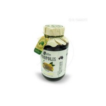 트루블루 프로폴리스 500mg 600캡슐(300g) 코스트코