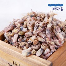 바다원 [바다원] 국내산 건꼴뚜기 500g