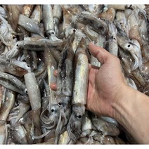 100% 국내산 동해안 생물 잡자마자 급냉한 통찜용 오징어 500g+500g 총 2팩, 1개, 500g 2팩