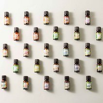 더아로마샵 천연 내추럴 에센셜 오일 10ml 유칼립투스 프랑킨센스 제라늄 페퍼민트 비염에좋은오일, 16. [프리미엄] 제라늄 10ml x 1개