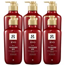 려 함빛 극손상&영양케어 샴푸 550ml 발효 동백오일 함유, 6개