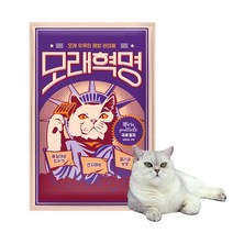 [2+1] 고양이 모래의 혁명을 선언한다 모래혁명 6kg, 무향 극세입자