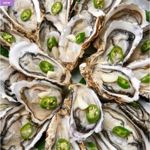 보령 천수만 천북굴 석화 각굴 생굴 대하 홍가리비 새조개 참 소라 굴 단지 축제, 생굴 1kg, 1개