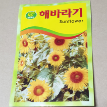 안산 플라워마트 상추 씨앗, 1개, 해바라기