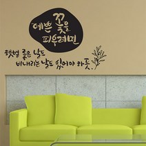 예쁜꽃을피우려면 캘리그라피스티커 포인트그래픽스티커 벽지 인테리어 글자 명언 글귀 한글 데코 레터링 손글씨 문구, 화이트