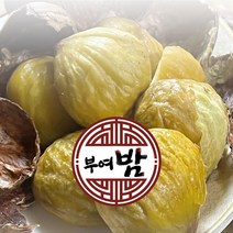 국내산 부여밤 (1KG~5KG), 칼집 포르단 부여밤(특대), 5KG