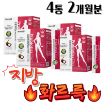 뚱보유산균, 1개