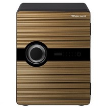 선일금고 이볼브 EV-020 EV-040 가정용/소형/내화금고 보석함증정 직접설치배송 고객날짜지정가능, EV-040SG