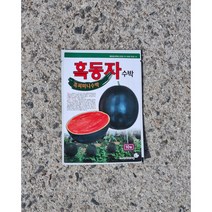 미니수박종자/흑수박종자/애플형 흑수박/흑피수박 흑동자 10립