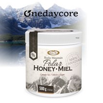 ONEDAYCORE 원데이코어 캐나다 로키산맥 석청꿀 500g, 1개