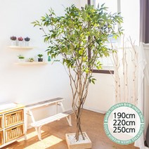 실내인테리어 인조나무 123종 / 플트 조화나무 C, C09.라인-올리브나무 250cmK/사방형