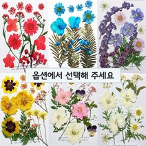 압화 레진 공예 꽃 책갈피 편지 만들기 종합팩 HF-A00 (옵션선택), HF-A06(화이트계열)