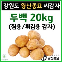 왕산종묘 두백 씨감자 [ 두백 20kg ] 찜용 감자 튀김용 분감자 감자씨앗 햇감자 정품씨감자 분감자 두백 홍영 자영 백작 왕산 수미 씨감자 강원도 씨감자, 두백 20kg ( 찜용/튀김용 감자)