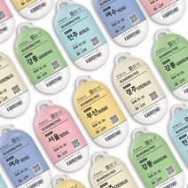 트라이코지 디자인 버즈케이스 트레인티켓, 전주