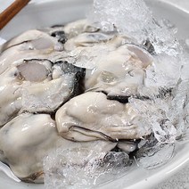 경상도수산 산지직송 당일경매 싱싱한 통영 생굴1kg(가열조리용), 1kg, 1개