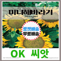 [OK씨앗] [미니해바라기(선스팟)] 미니해바라기씨앗 종자(오케이씨앗), 1g