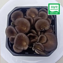 농사꾼아내 친환경 무농약 한송이 느타리 버섯 150g